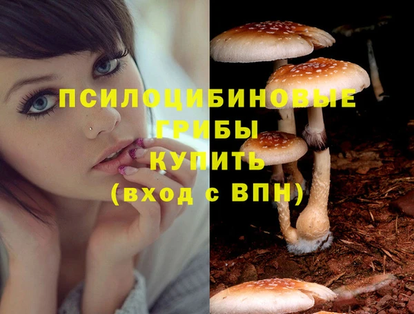 apvp Строитель