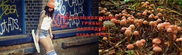 ECSTASY Беломорск